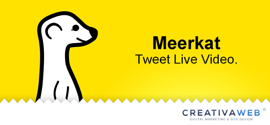 meerkat-tweet-live-video