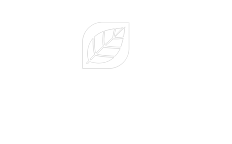 pypvida agencia shopify