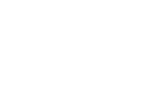 programadores shopify